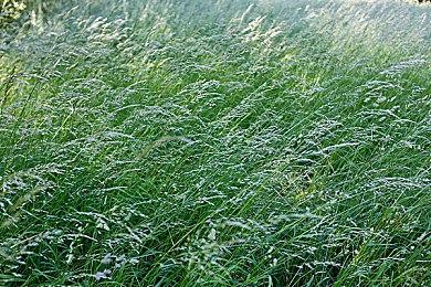 《燕云十六声》开发进展介绍 新时装新角色等将上线